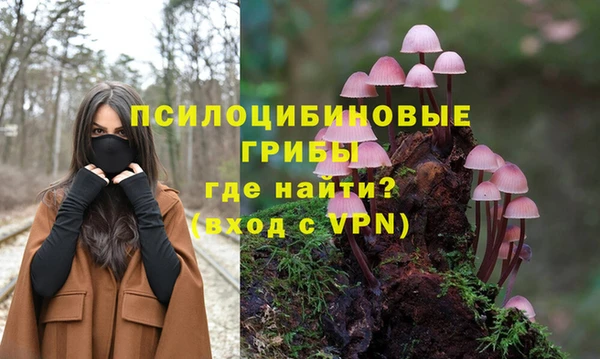 стафф Арсеньев