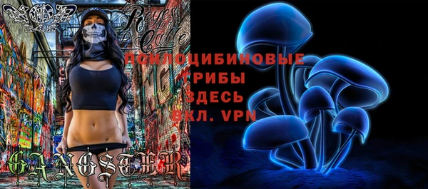 прущий лед Алексин