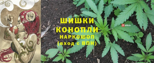 прущие грибы Нягань